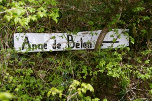 The last leg of the oyster pilgrimage: Anne de Belon