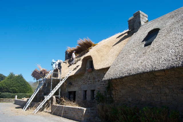 Thatched Roof under repair