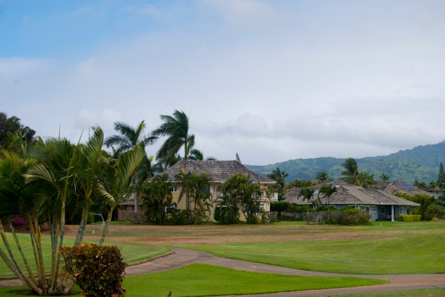 At the terrace of Joe's on the Green