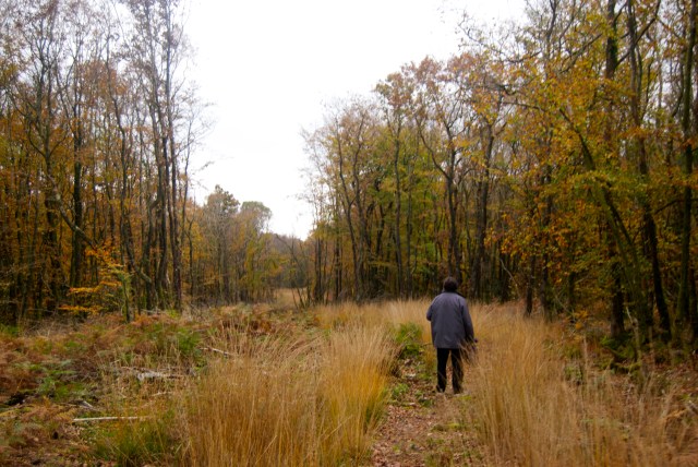 Following the expert